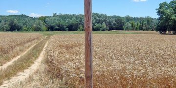 El Campus Diputación de Cuenca de Senderismo 2019 retoma este sábado su actividad en Sisante y El Picazo