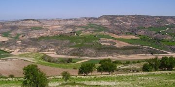 El Ayuntamiento de Huete defenderá el cultivo de la trufa en el próximo pleno