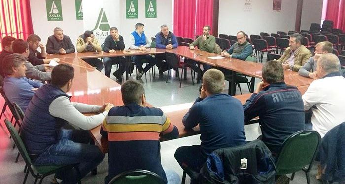 ASAJA Cuenca impulsa una sectorial con ganaderos de porcino para reforzar la defensa de los intereses de este sector