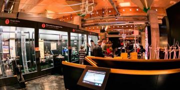 El MUPA y el Museo de las Ciencias de Castilla-La Mancha presentan sus actividades para el Día Internacional de los Museos