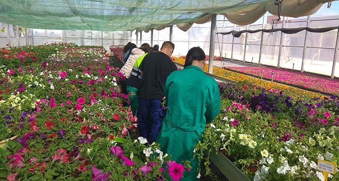 La Junta autoriza la implantación el próximo curso de cinco nuevos Programas Específicos de FP en otros tantos IES