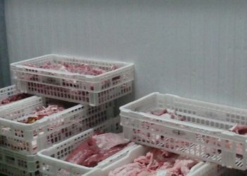 Las  exportaciones se mantienen en Cuenca levemente por encima de 2018