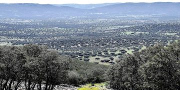 Publicada la aprobación del PRUG del Parque Natural ‘Valle de Alcudia y Sierra Madrona’, tras un proceso de participación y consenso de todos los interlocutores