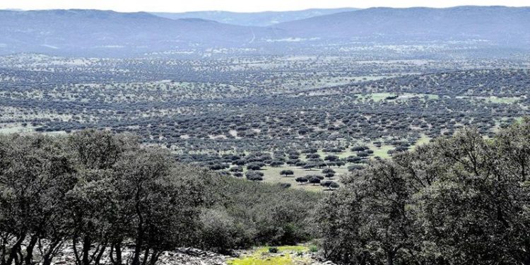Publicada la aprobación del PRUG del Parque Natural ‘Valle de Alcudia y Sierra Madrona’, tras un proceso de participación y consenso de todos los interlocutores