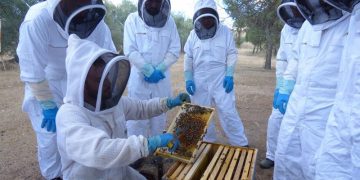 Cerca de una veintena de bomberos participan en un curso de intervención apícola para formarse en la retirada de enjambres de abejas en el entorno urbano