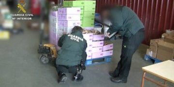 Detienen a seis personas por vender huevos procedentes de Cuenca como si fueran ecológicos sin serlo