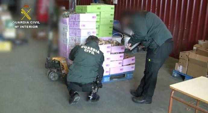 Detienen a seis personas por vender huevos procedentes de Cuenca como si fueran ecológicos sin serlo