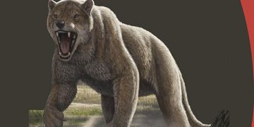 El Museo de Paleontología finaliza su ciclo de conferencias sobre Paleontología con el yacimiento de Loranca del Campo