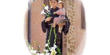 Fiestas de San Antonio en Moncalvillo
