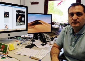 Investigadores europeos, coordinados por el IREC, piden medidas con base científica que atajen la peste porcina africana