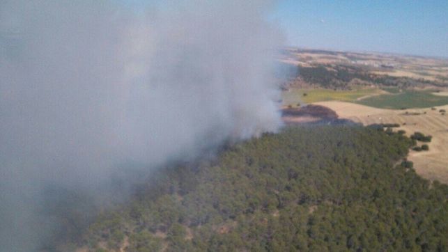 Un incendio en Castejón moviliza a 19 medios, cinco de ellos aéreos, y 92 personas