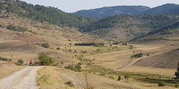 Arantxa Martínez y Javier Triguero se imponen en la Media Maratón de San Felipe