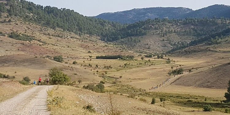 Arantxa Martínez y Javier Triguero se imponen en la Media Maratón de San Felipe