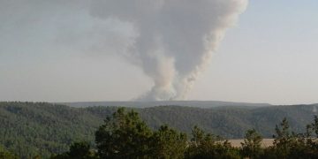 Castejón vuelve a arder y esta vez es un pinar