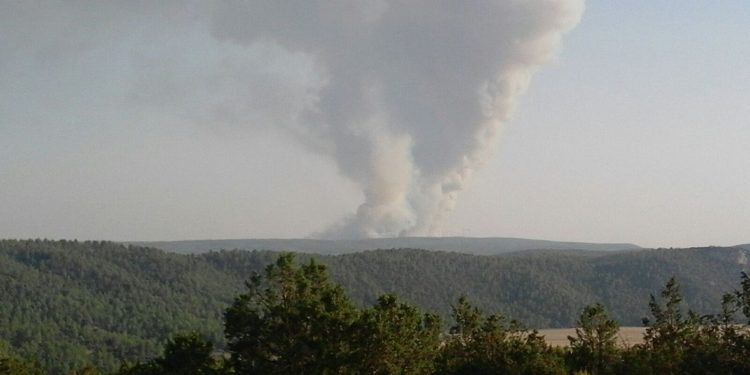 Castejón vuelve a arder y esta vez es un pinar