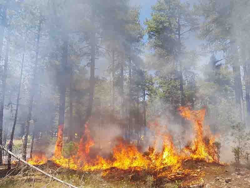Cuenca vuelve a arder se registran incendios en Cólliga, Alcohujate y Carrascosa
