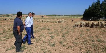El Gobierno regional abona hoy 6,7 millones de planes de mejoras para las explotaciones de 200 profesionales de la agricultura y la ganadería