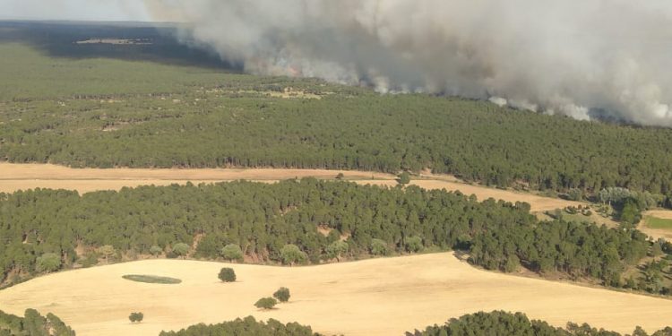 Barchín del Hoyo se quema: 31 medios y 122 personas luchan contra el fuego