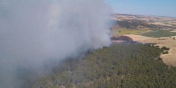 Seis medios, uno de ellos aéreo, y 40 personas, luchan contra el fuego en un incendio declarado en Montalbanejo