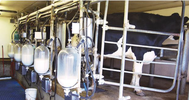 Unión de Uniones recuerda que continúa el proceso de la España vaciada con la desaparición de 1.800 ganaderos lácteos en un solo año