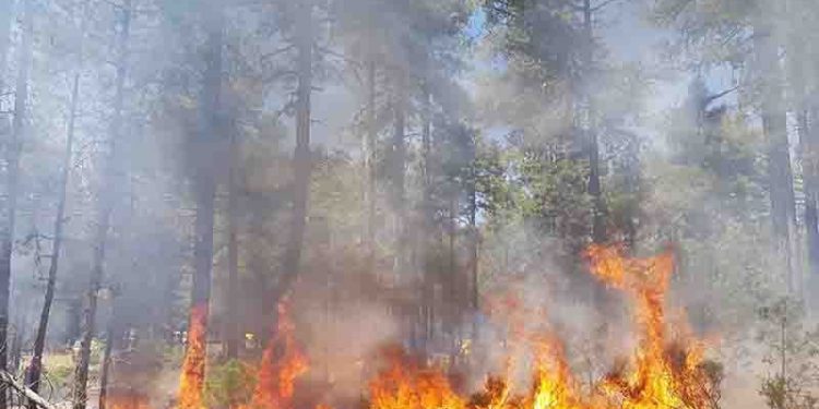 Incendios “fuera de capacidad de extinción”