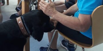 La Junta extiende la terapia asistida con perros al ámbito de la discapacidad