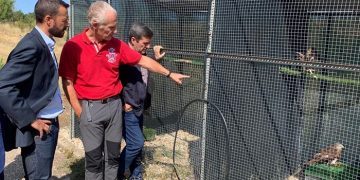 La Junta respalda la recuperación de aves rapaces en la región