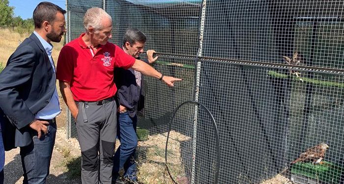 La Junta respalda la recuperación de aves rapaces en la región La Junta respalda la recuperación de aves rapaces en la región