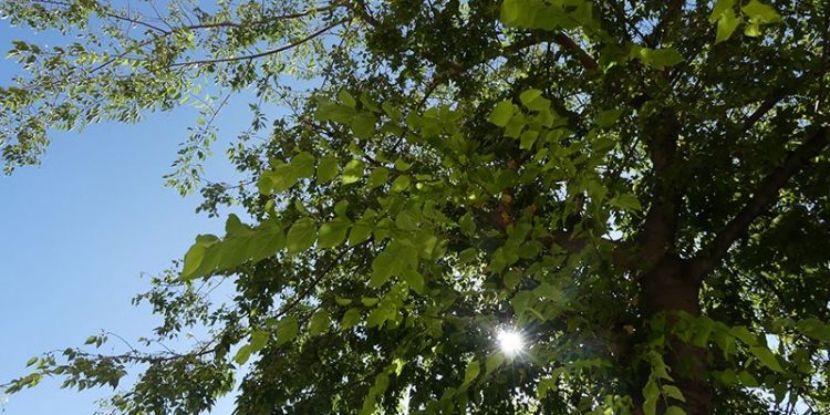 La patronal conquense señala una línea de financiación para proyectos que luchen contra el cambio climático