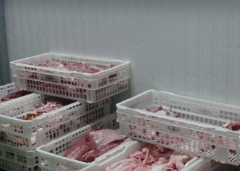 Las exportaciones se recuperan en la provincia de Cuenca y ya alcanzan números similares al año anterior