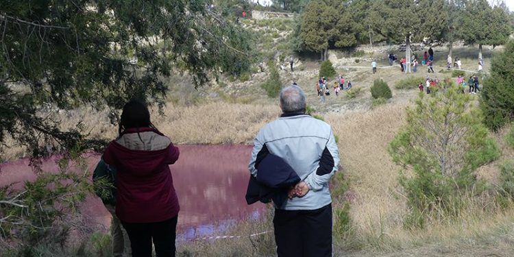 Paso atrás del turismo rural en Cuenca: los visitantes no se alojan en casas rurales homologadas y sí en otras vinculadas a otras plataformas Paso atrás del turismo rural en Cuenca: los visitantes no se alojan en casas rurales homologadas y sí en otras vinculadas a otras plataformas