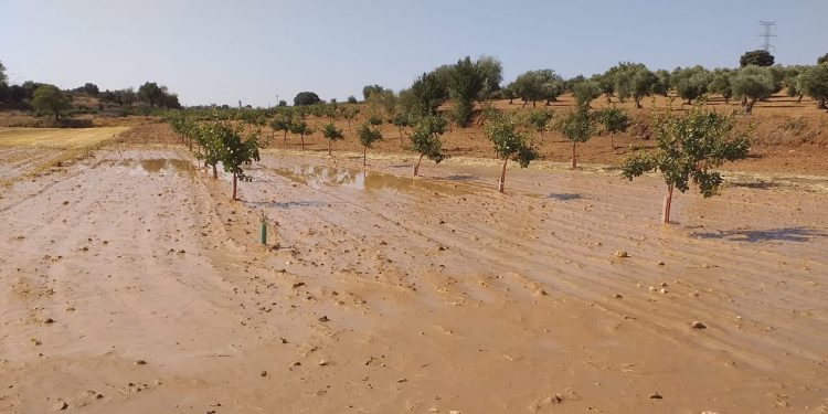 Tarancón, Belinchón y El Picazo centran el trabajo de los bomberos de la Diputación de Cuenca por el temporal