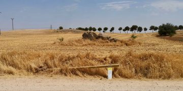 El circuito saludable ‘Tarancón Camina’, protagonista de varios actos vandálicos
