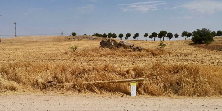 El circuito saludable ‘Tarancón Camina’, protagonista de varios actos vandálicos