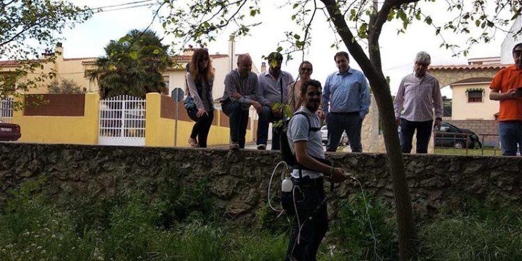 El Ayuntamiento de Huete trata los olmos y otros árboles enfermos