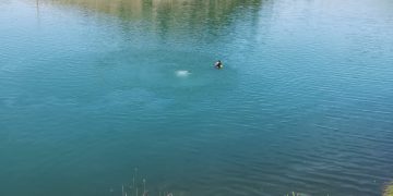 Fallece una mujer tras caer con su vehículo al pantano de Alarcón