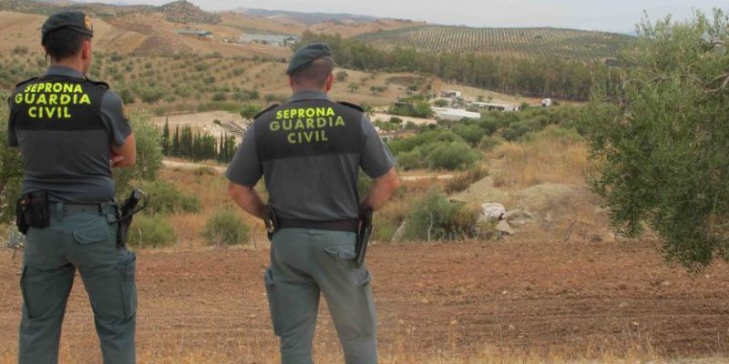La Guardia Civil de Cuenca investiga a una persona por robar piezas de varias máquinas que se utilizan para cortar ajos en Las Pedroñeras