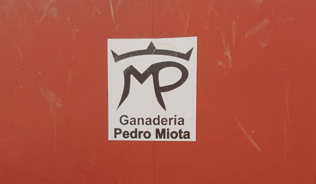 logo ganbaderia 1024x597 1 | Informaciones de Cuenca