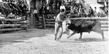 Pedro Miota, ganadero de bravo. La mía, empieza a ser una ganadería llamémosla de los palos de Cuenca. No es de Vitorino Martín pero, sí a pequeña escala
