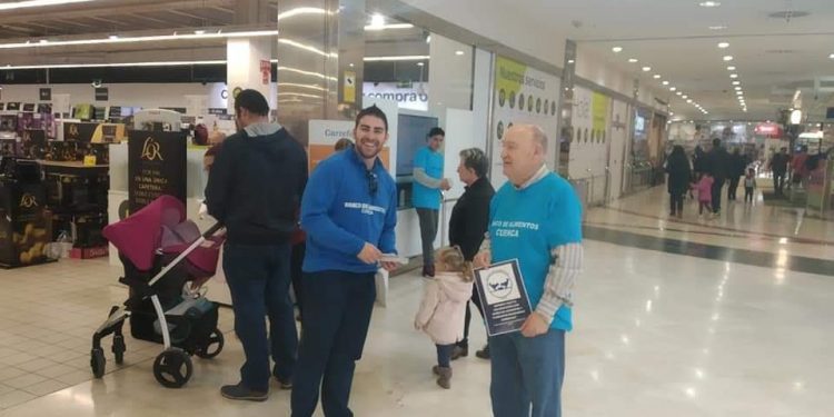 El Banco de Alimentos de Cuenca busca voluntarios para los días 22 y 23 de Noviembre El Banco de Alimentos de Cuenca busca voluntarios para los días 22 y 23 de Noviembre