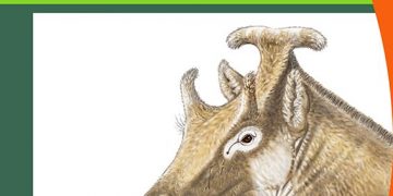 El Museo de Paleontología acoge una nueva edición del programa ´ConCienciAcción´