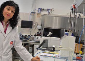 La profesora de la UCLM María Luz Sánchez Silva, distinguida con una beca Leonardo de la Fundación BBVA