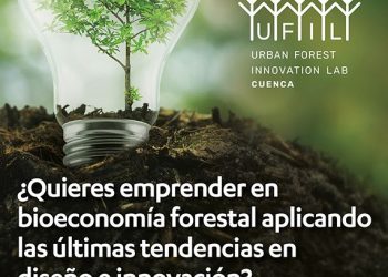 Veinticinco profesores de la UCLM, inmersos en un proyecto de la Unión Europea relacionado con la bioeconomía forestal
