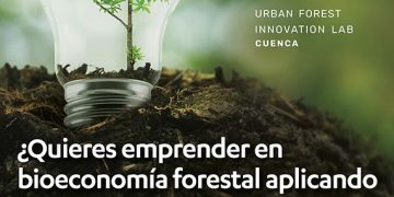 Veinticinco profesores de la UCLM, inmersos en un proyecto de la Unión Europea relacionado con la bioeconomía forestal