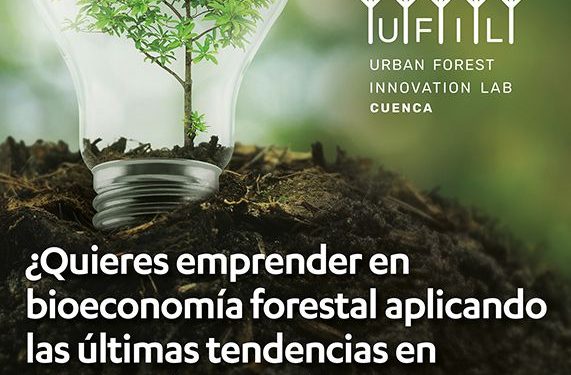 Veinticinco profesores de la UCLM, inmersos en un proyecto de la Unión Europea relacionado con la bioeconomía forestal Veinticinco profesores de la UCLM, inmersos en un proyecto de la Unión Europea relacionado con la bioeconomía forestal