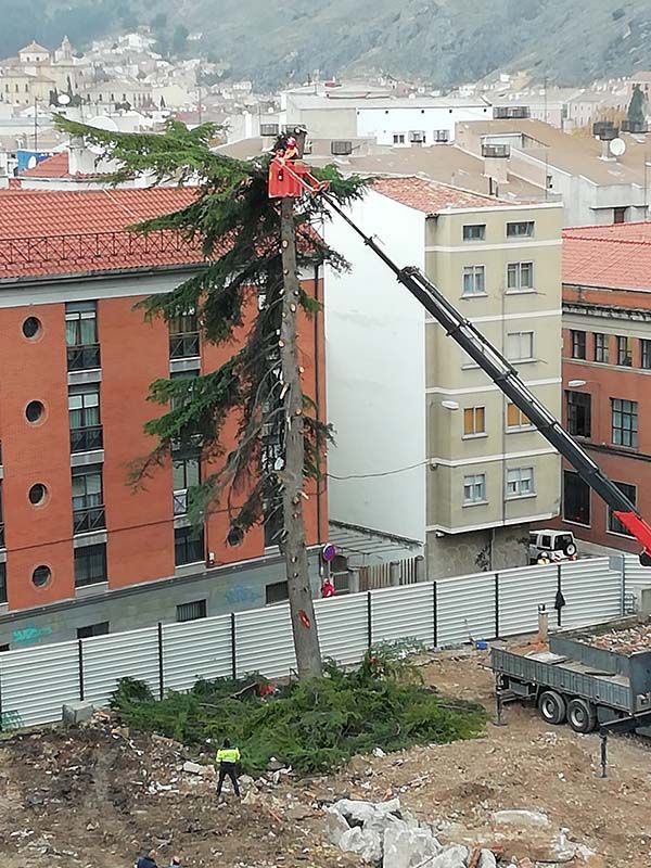 El Ayuntamiento de Cuenca estará vigilante para que se restituya el parque infantil y el arbolado del antiguo sanatorio de San Julián