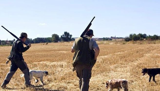 La RFEC vuelve a poner de relieve la importancia del sector cinegético en el Plan Estratégico Nacional de la PAC