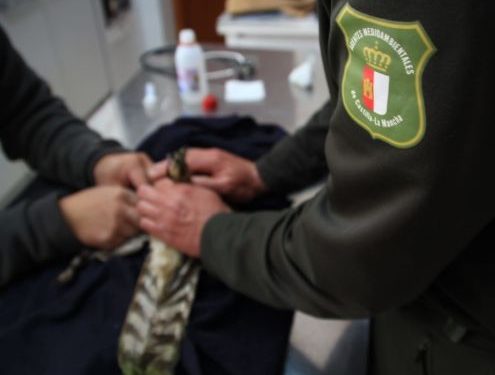 Los agentes medioambientales de Castilla-La Mancha muestran su preocupación por el “desmantelamiento” de Albaladejito