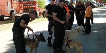 Hasta 15 personas se han perdido este año en los montes de Castilla-La Mancha mientras buscaban setas