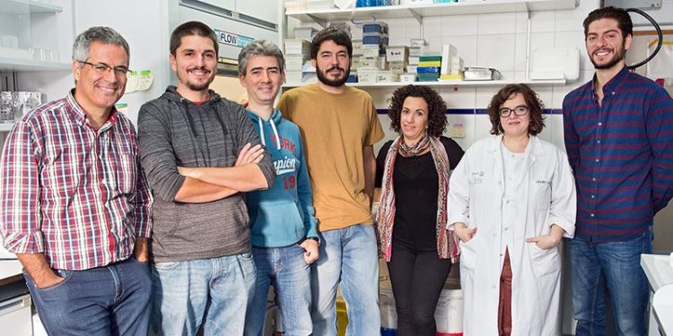 El Hospital Nacional de Parapléjicos y Universidad de Valladolid desarrollarán tecnología basada en biomateriales para la lesión medular El Hospital Nacional de Parapléjicos y Universidad de Valladolid desarrollarán tecnología basada en biomateriales para la lesión medular